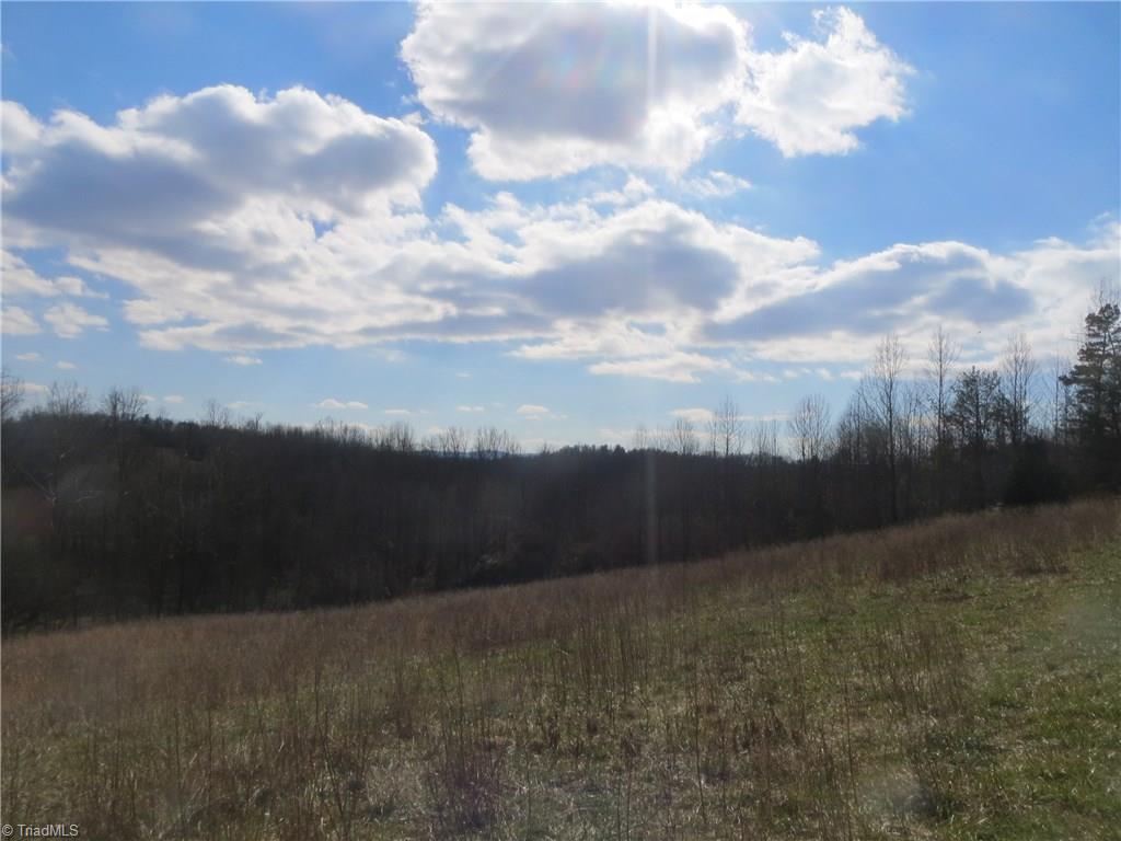0 North River Ridge Road Jonesville, NC 28642 - Photo 13 of 25 Gallery Image 13