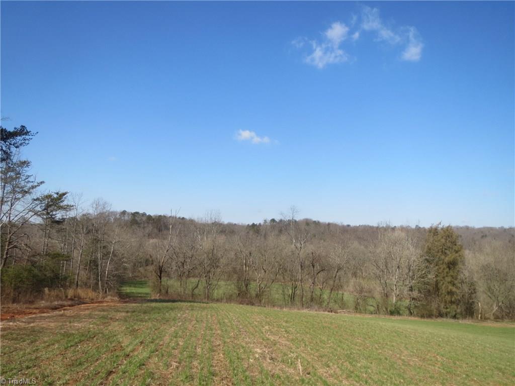 0 North River Ridge Road Jonesville, NC 28642 - Photo 17 of 25 Gallery Image 17