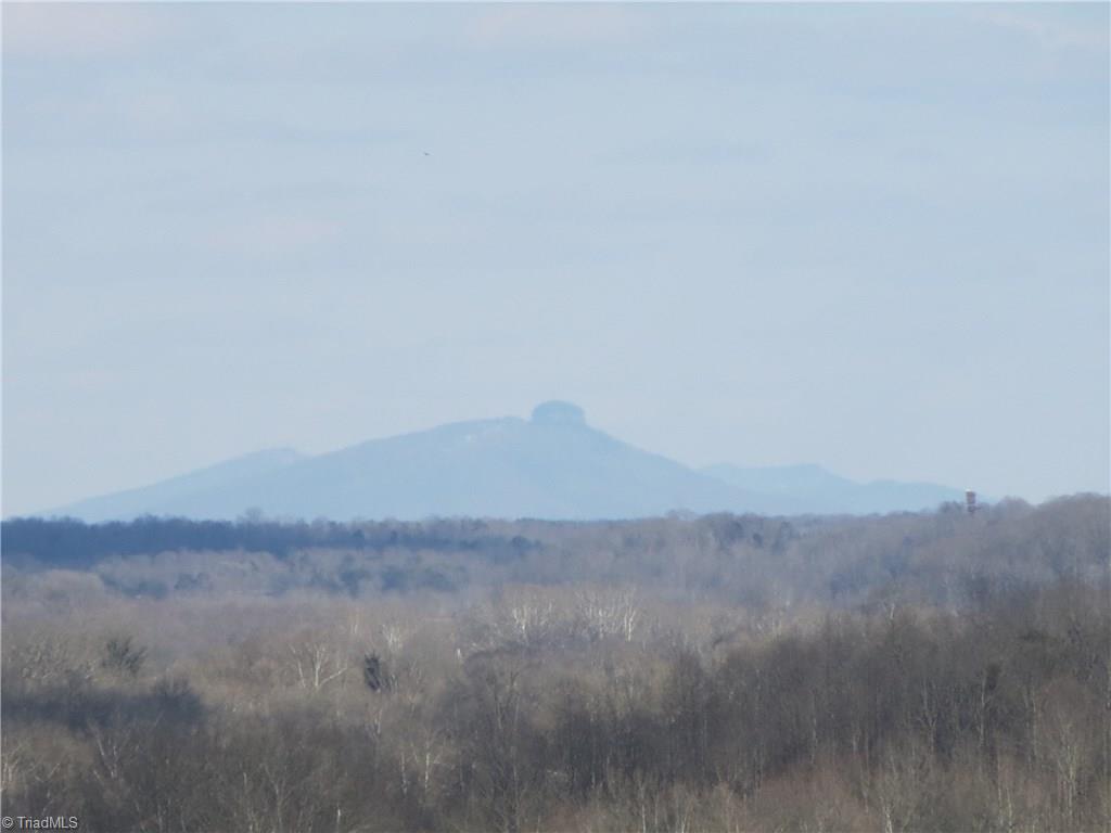 0 North River Ridge Road Jonesville, NC 28642 - Photo 4 of 25 Gallery Image 4