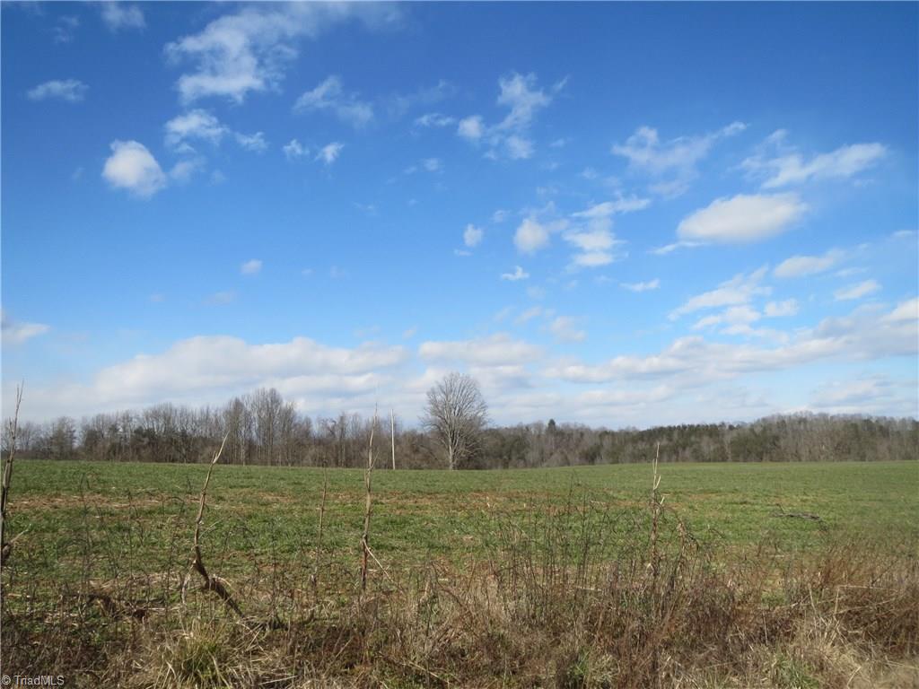 0 North River Ridge Road Jonesville, NC 28642 - Photo 10 of 25 Gallery Image 10