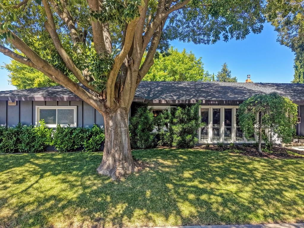 605 Cleveland Street Davis, CA 95616 - Photo 40 of 51