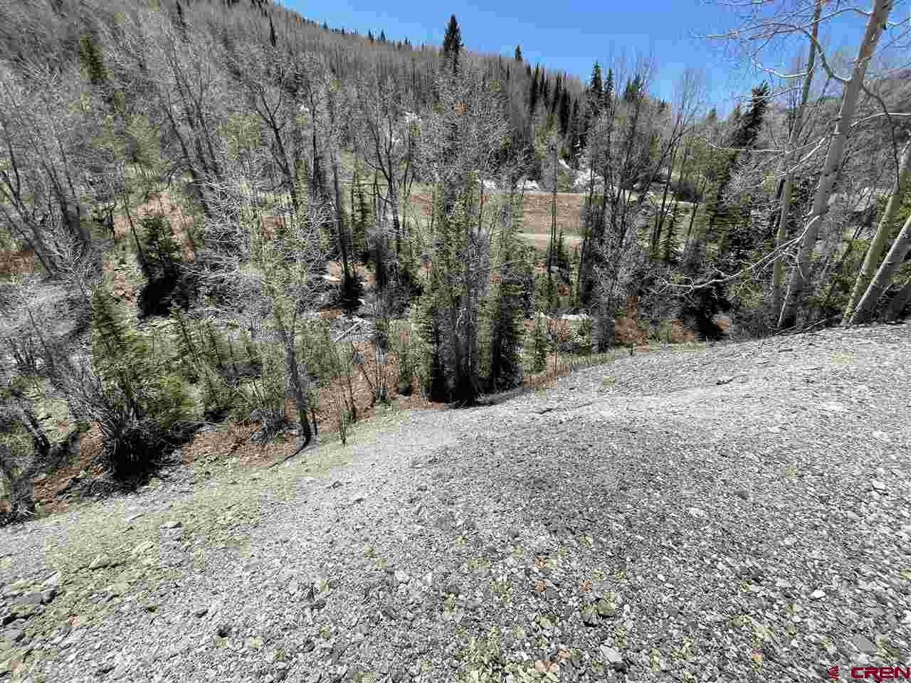 Tbd North Garfield Street Rico, CO 81332 - Photo 4 of 5 Gallery Image 4