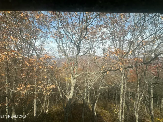 $124,900 | 391 Moytoy Road, Unit 208, Crab Orchard, TN 37723