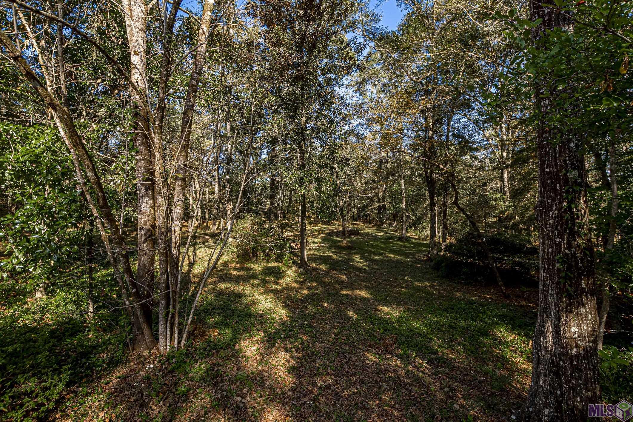 6915 Bear Cave Road Denham Springs, LA 70706 - Photo 27 of 27 Gallery Image 27