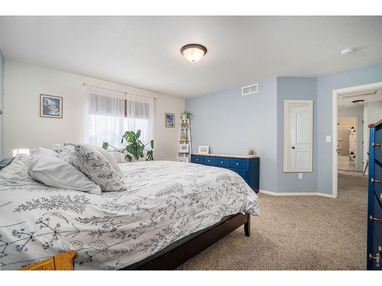 2137 Day Spring Drive Windsor, CO 80550 - Photo 13 of 23