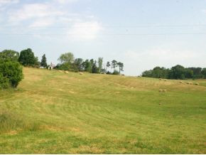 Lot 8 Forgety Road, Unit 8 Jefferson City, TN 37760 - Photo 1 of 3 Photo 1