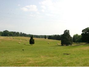 Lot 8 Forgety Road, Unit 8 Jefferson City, TN 37760 - Photo 2 of 3 Photo 2