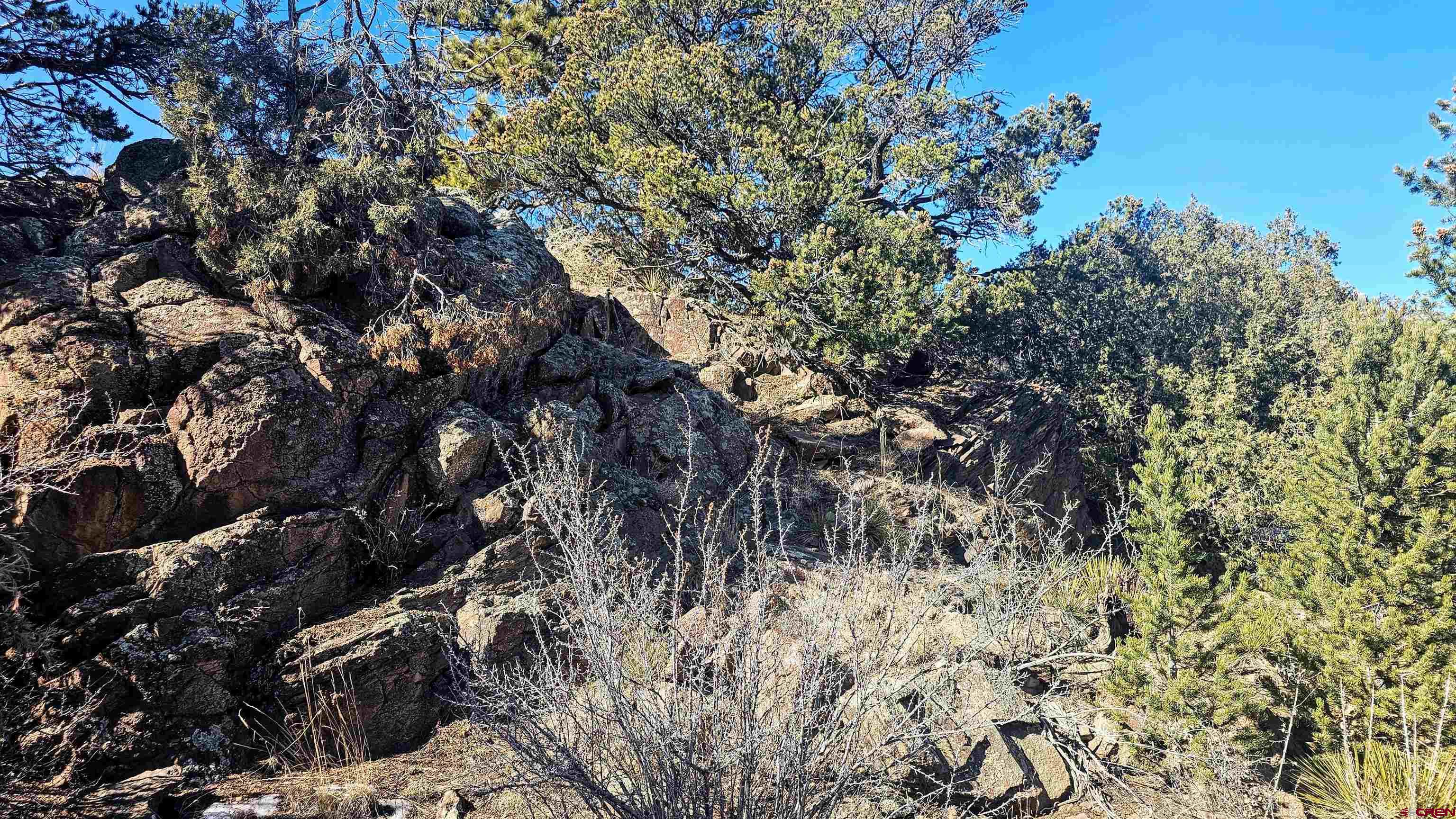 180 Silver Thread Circle South Fork, CO 81154 - Photo 12 of 21