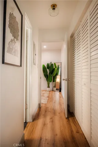 a view of a hallway with wooden floor and a potted plant