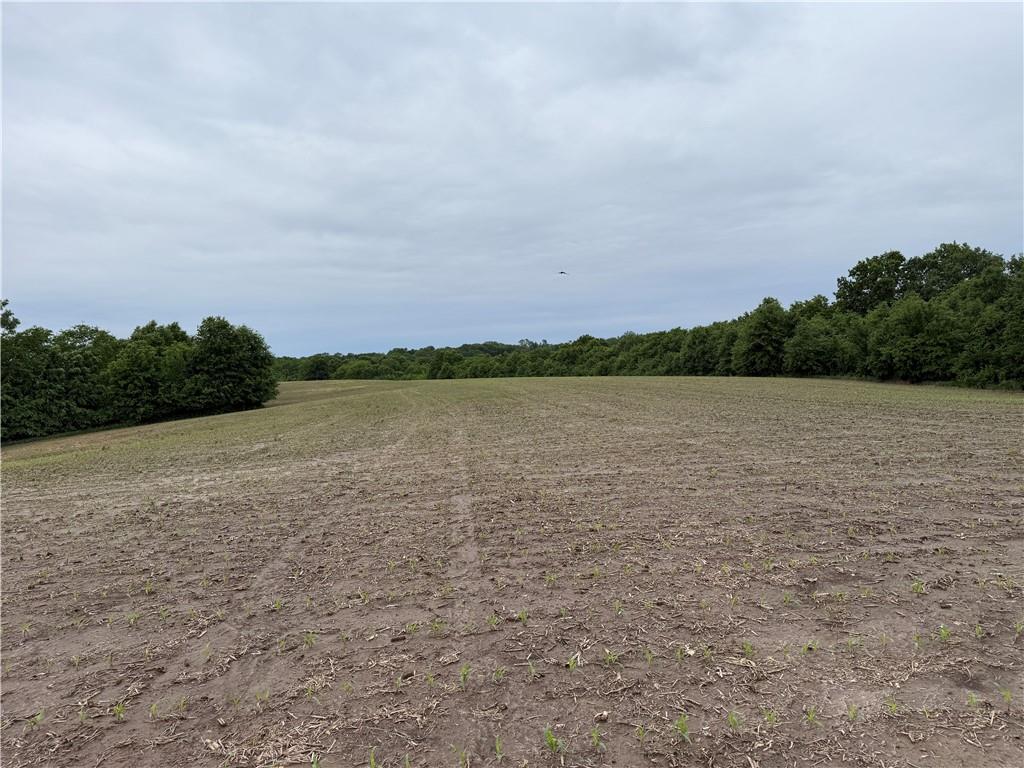 Cotton Road Purdin, MO 64674 - Photo 7 of 14