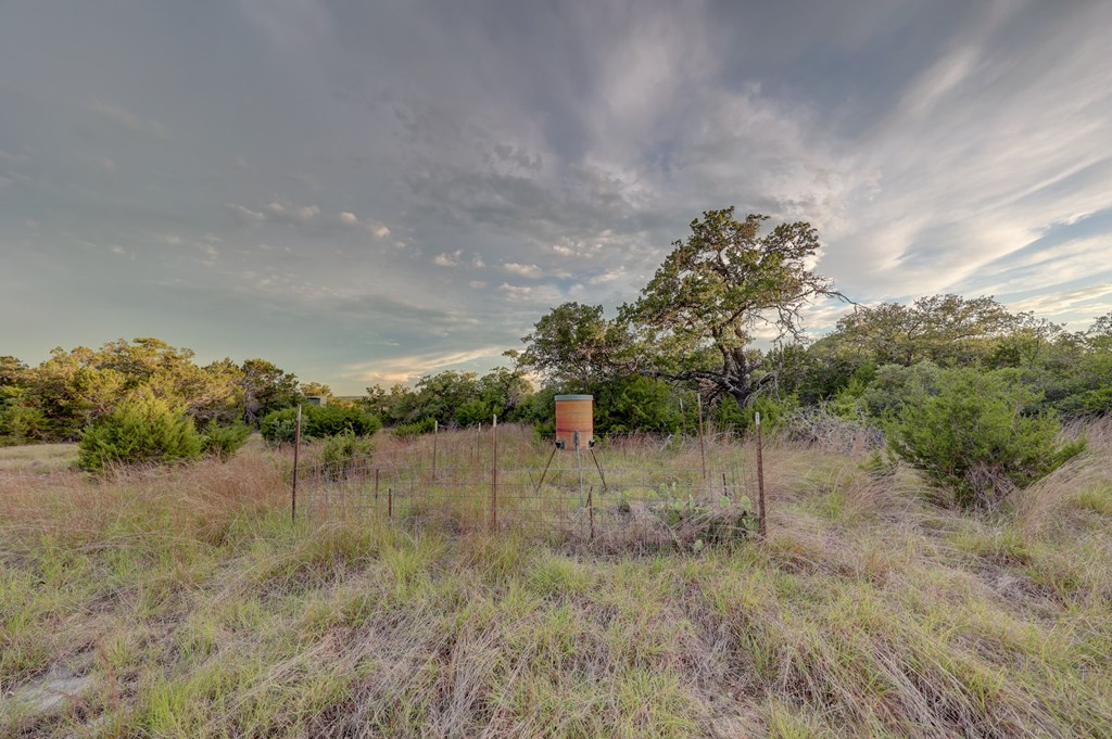 438 Yellowstone Lane Hunt, TX 78024 - Photo 30 of 47