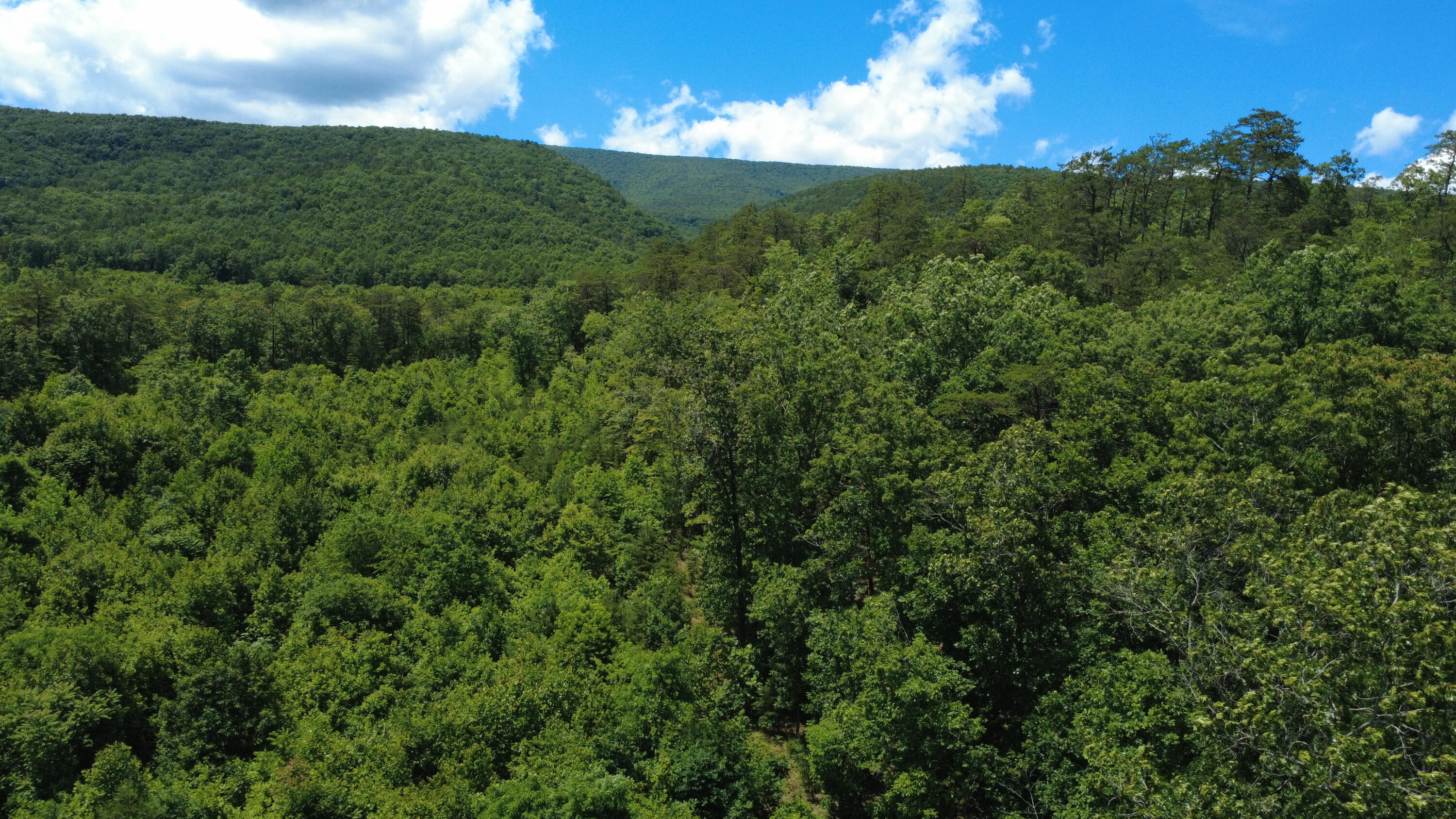 0 Craig Creek Road Eagle Rock, VA 24085 - Photo 10 of 25 a view of a lush green space with sea