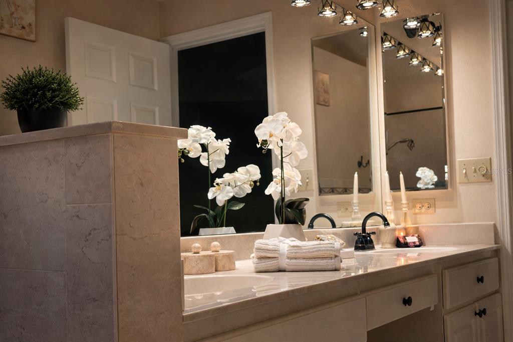 3637 Downfield Place, Unit 402 New Port Richey, FL 34655 - Photo 12 of 39 a bathroom with a sink a vanity and mirror