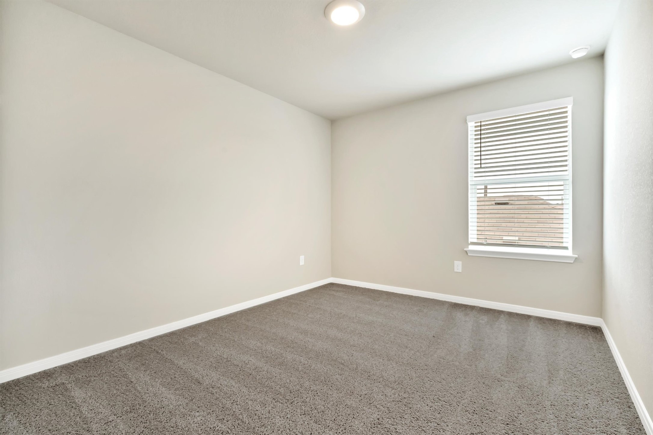 2909 Tweedy Trail Pflugerville, TX 78660 - Photo 12 of 27 A well-lit bedroom features plush carpeting and ample natural light from a single window.