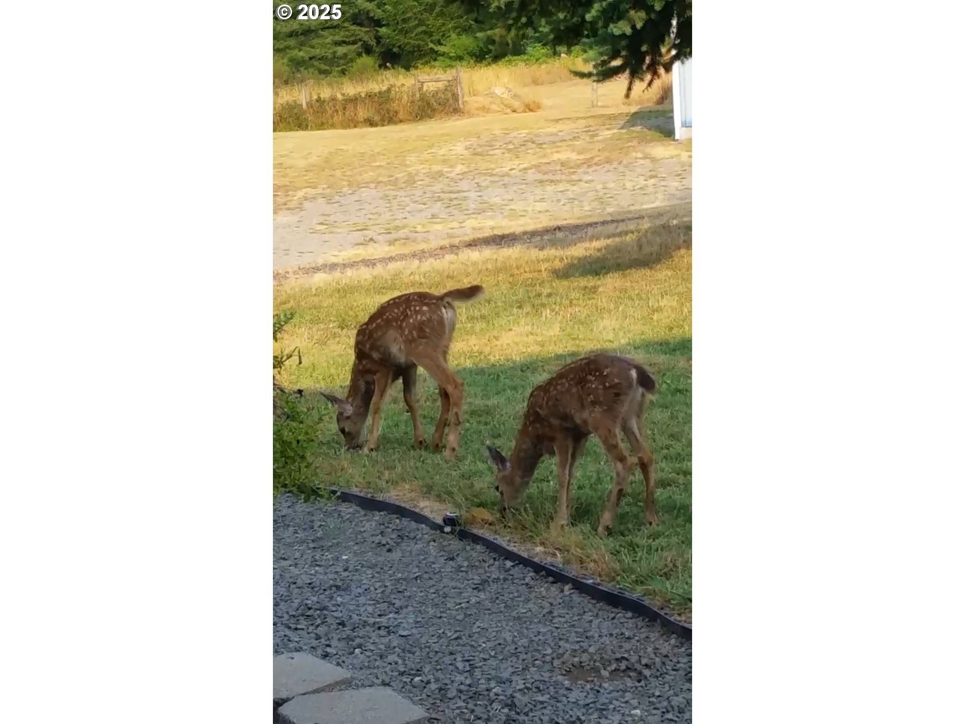 27067 Pickens Road Eugene, OR 97402 - Photo 45 of 48