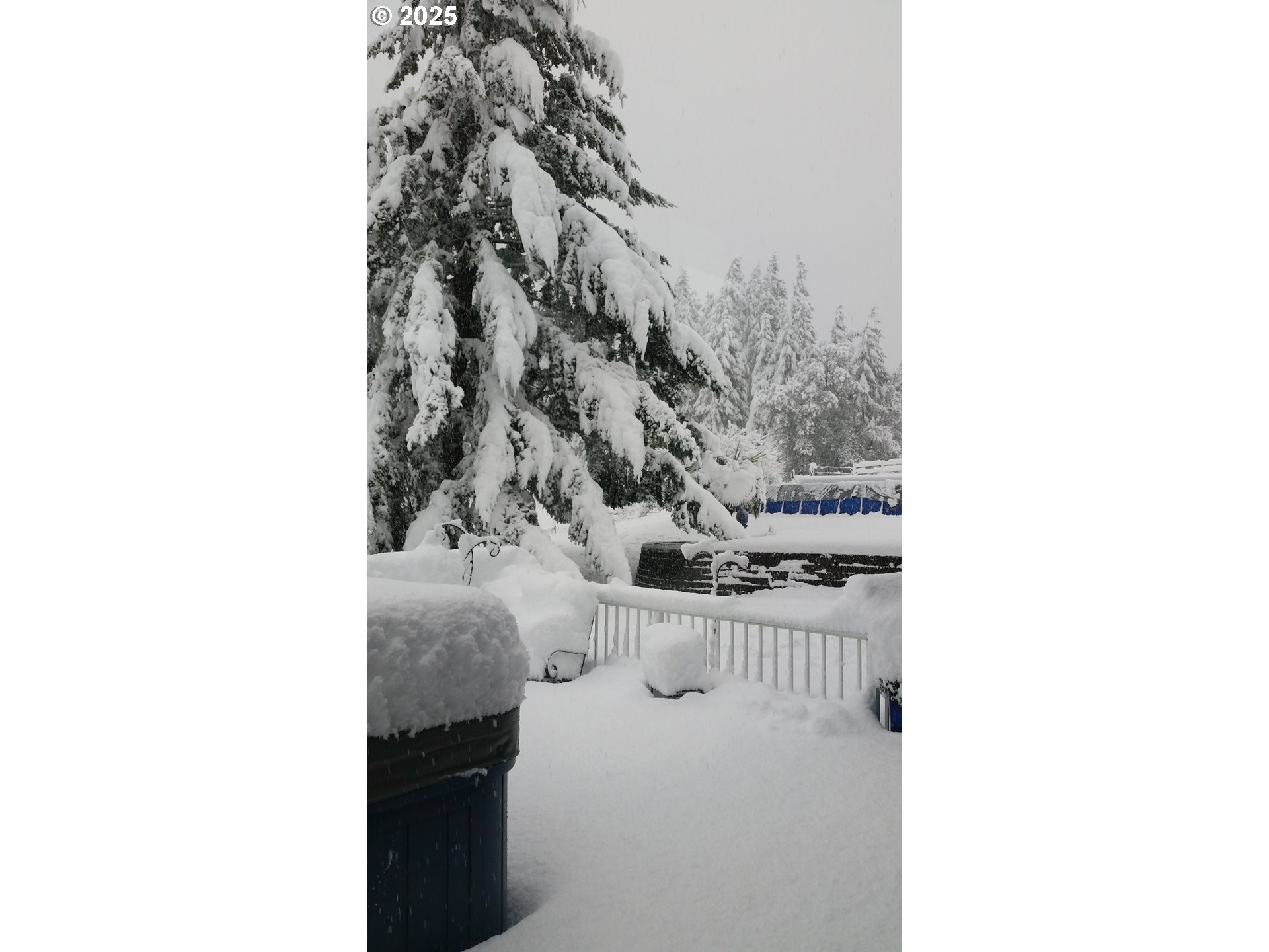 27067 Pickens Road Eugene, OR 97402 - Photo 46 of 48