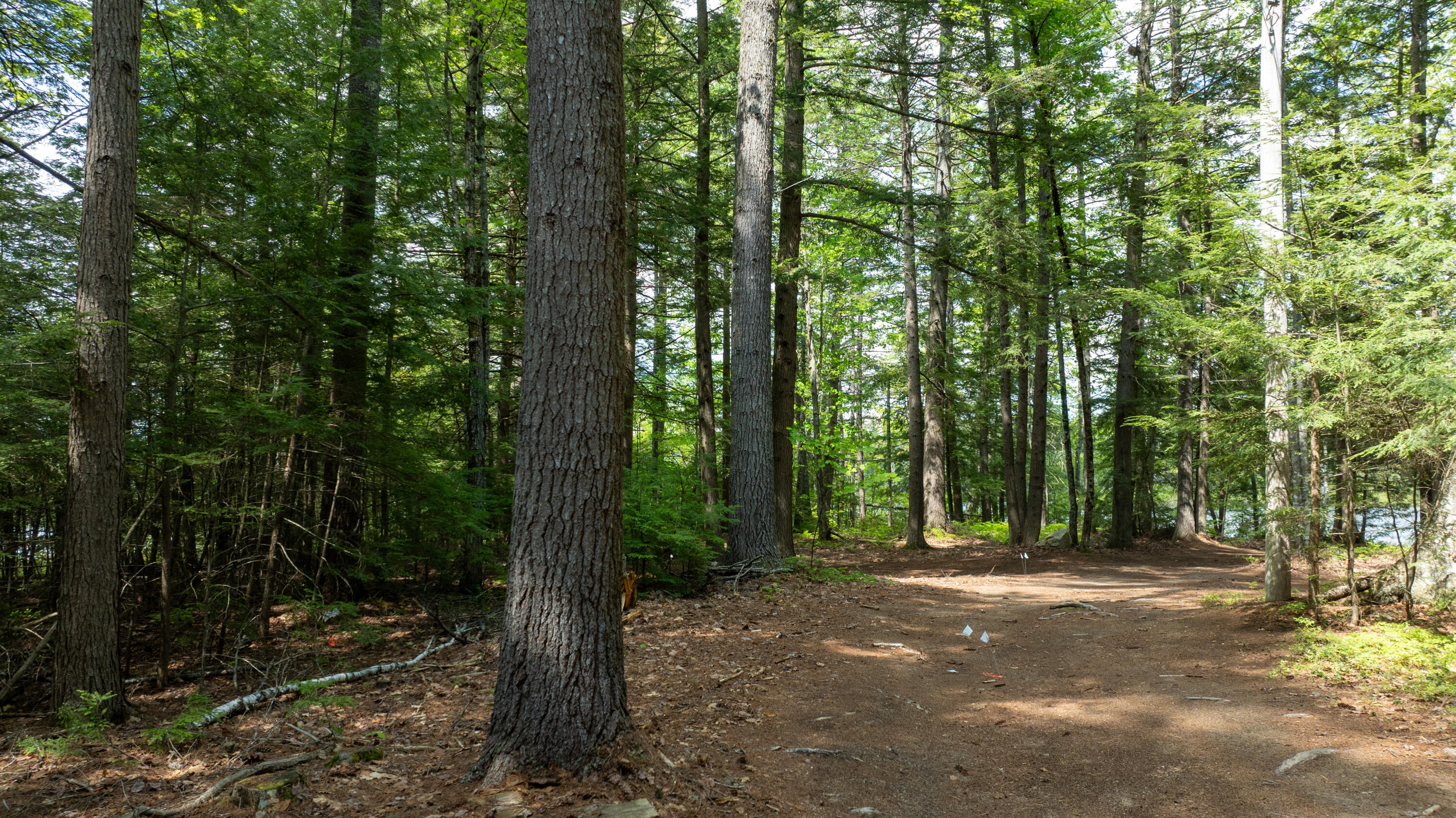 18 Hemlock Point Lane Bridgton, ME 04009 - Photo 12 of 31 18 Hemlock Point Lane