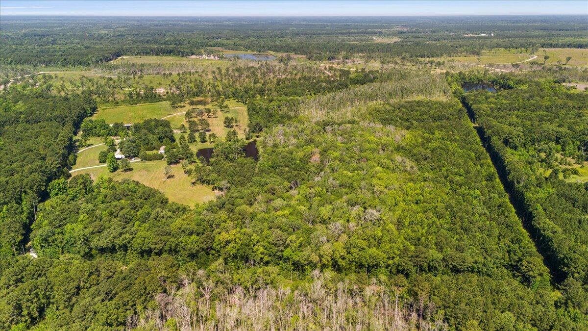 6397 Spring Grove Road Adams Run, SC 29426 - Photo 19 of 21 aerial from spring grove rd - east to we