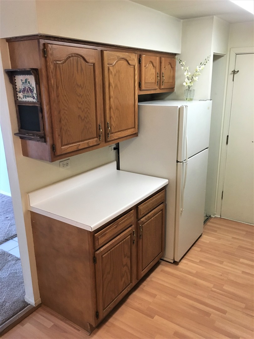 10428 South Ridgeland Avenue, Unit 1 Chicago Ridge, IL 60415 - Photo 7 of 15