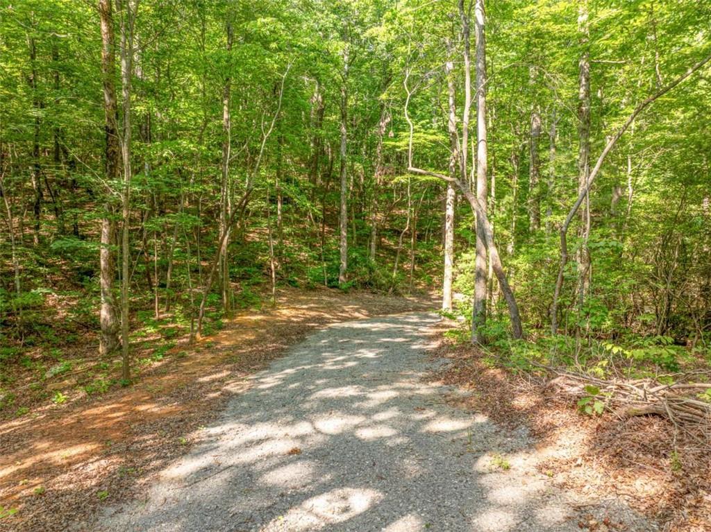 1298 Cold Stream Trail Jasper, GA 30143 - Photo 8 of 57