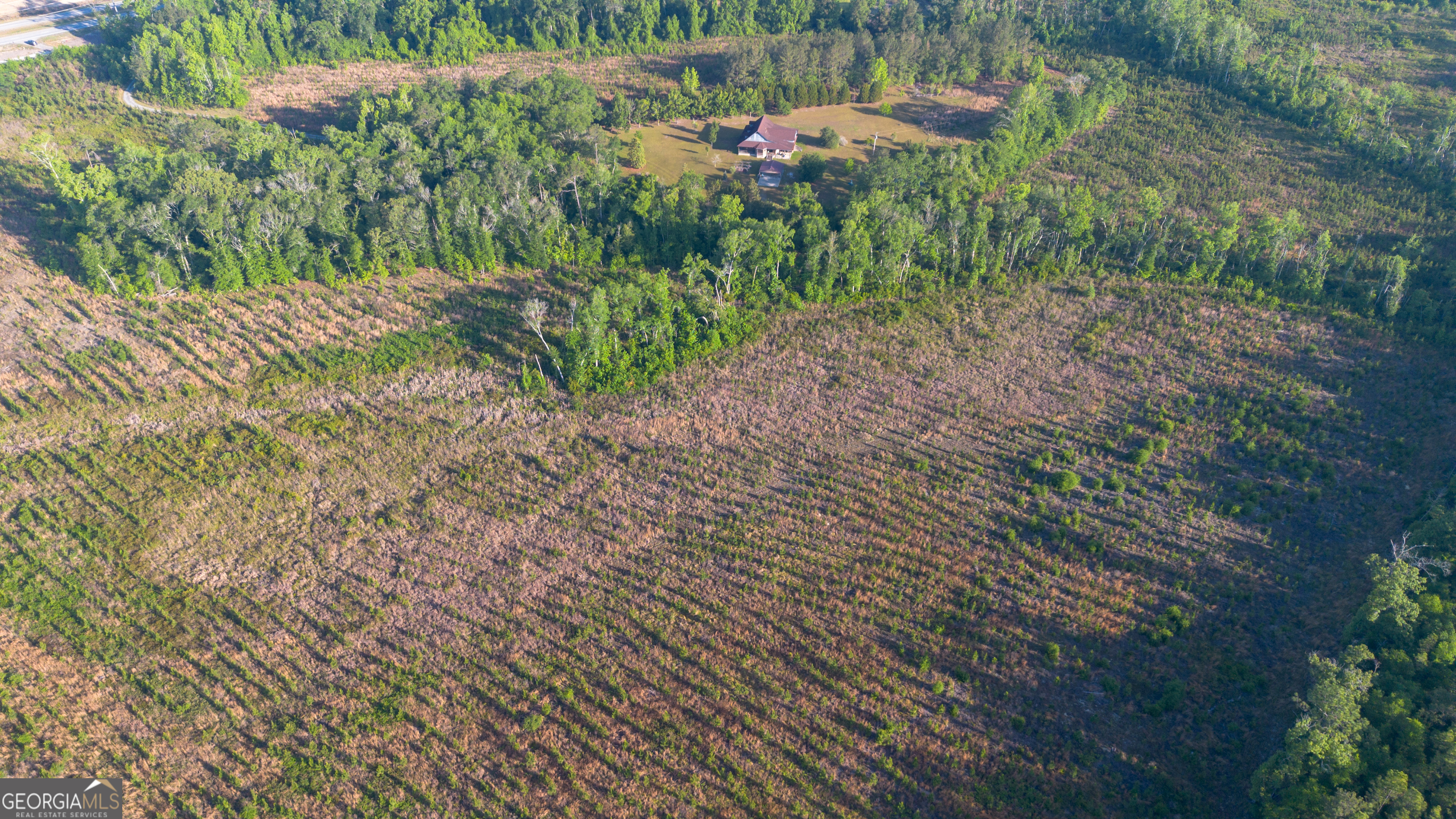 4530 Highway 301 Register, GA 30452 - Photo 14 of 19 a view of a yard