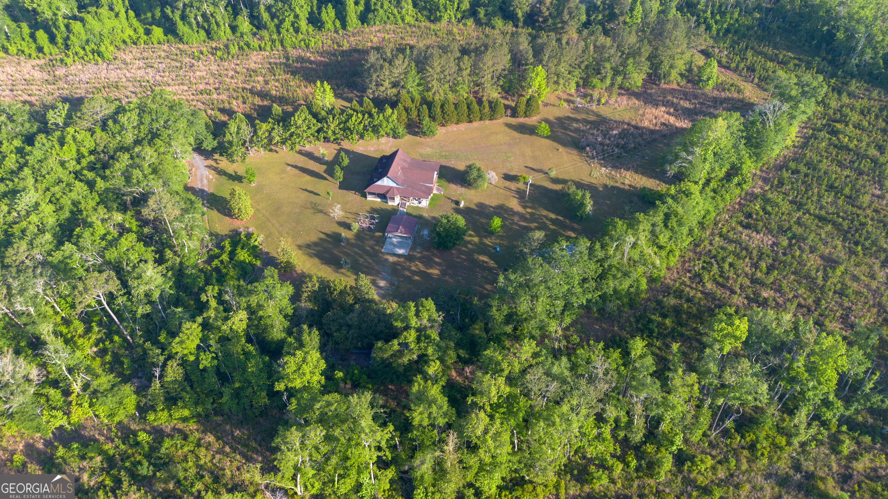 4530 Highway 301 Register, GA 30452 - Photo 16 of 19