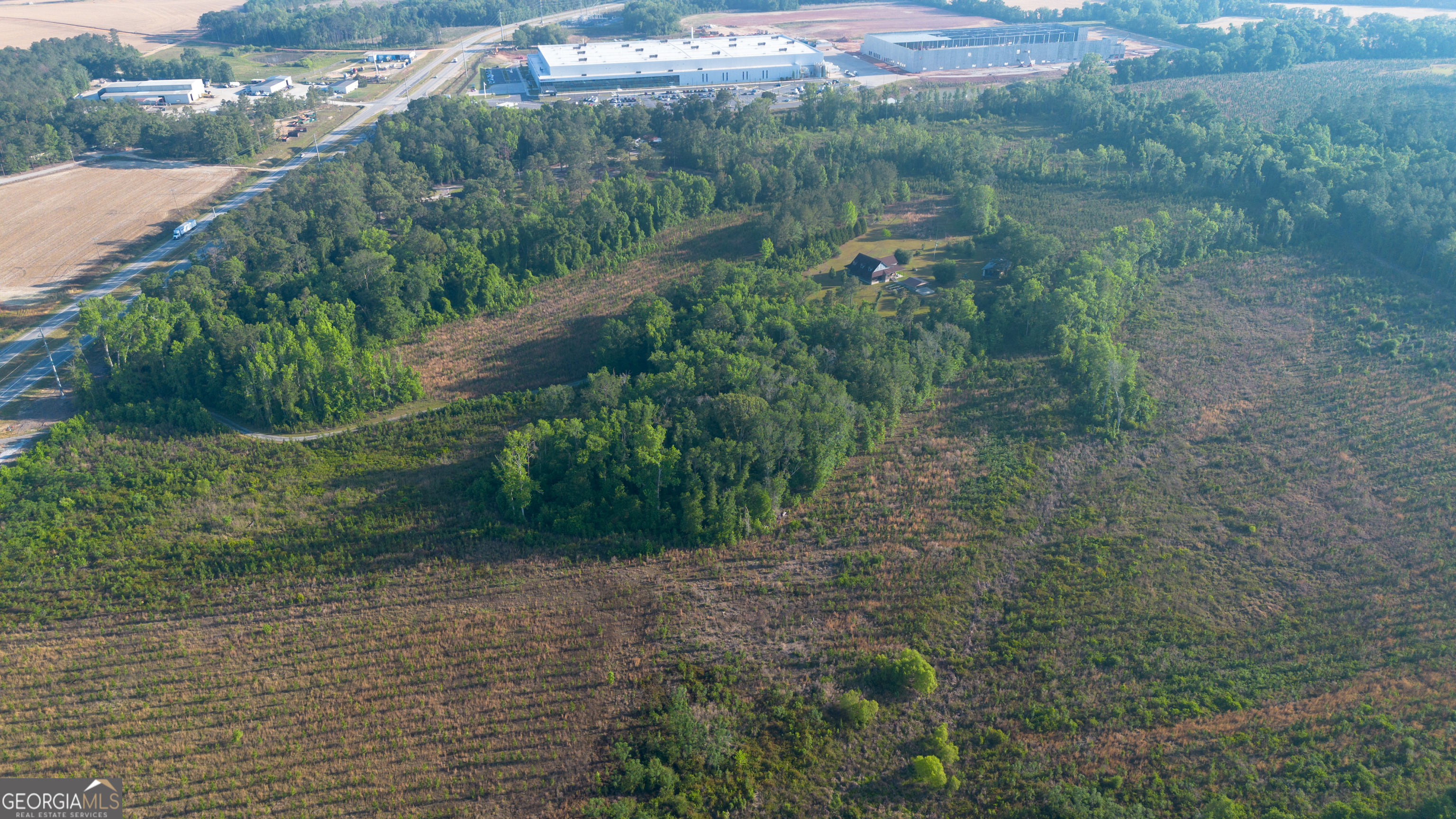 4530 Highway 301 Register, GA 30452 - Photo 7 of 19 a view of a forest with a yard