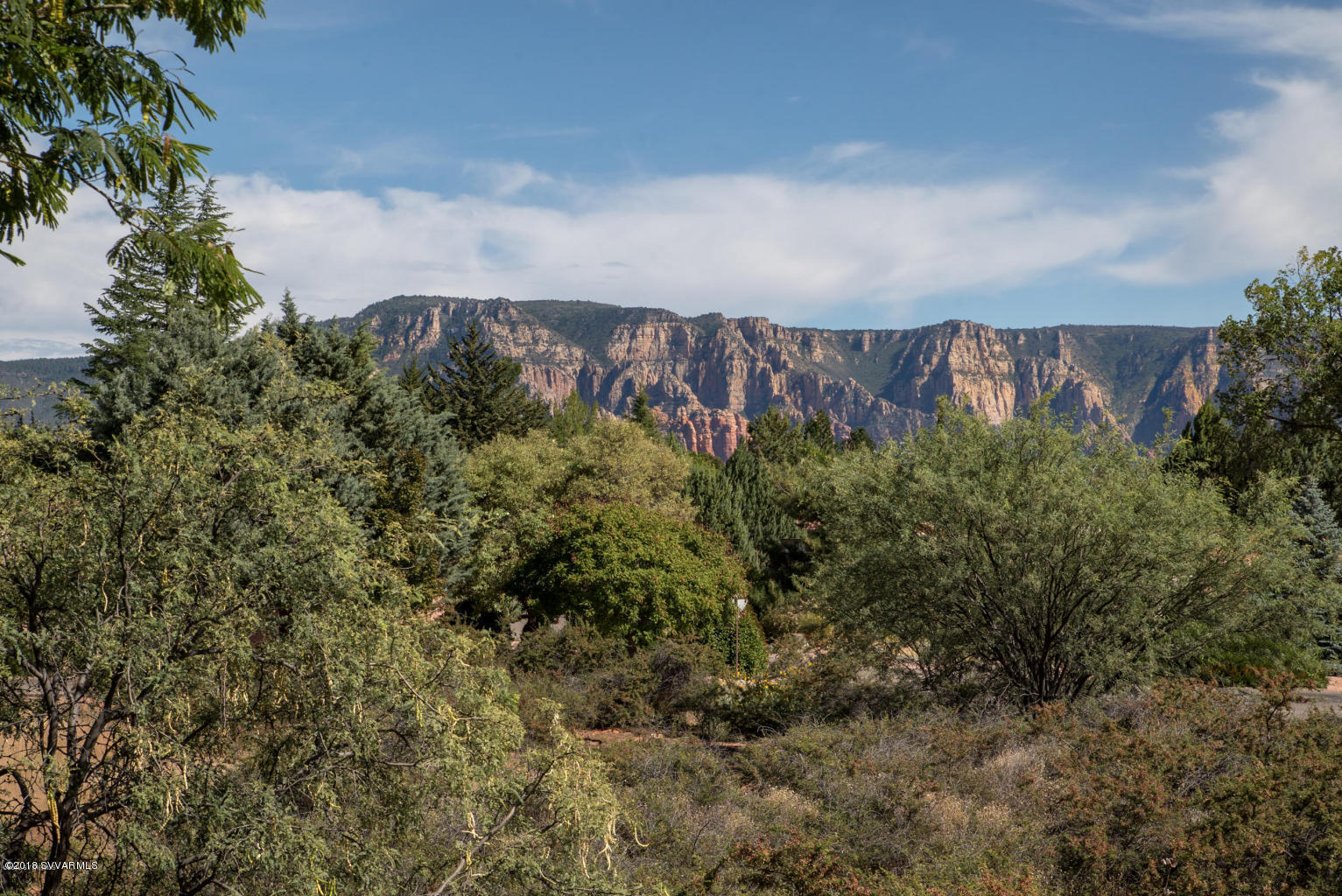 2450 Homestead Road Sedona, AZ 86336 - Photo 14 of 25 a view of a dry yard with large trees