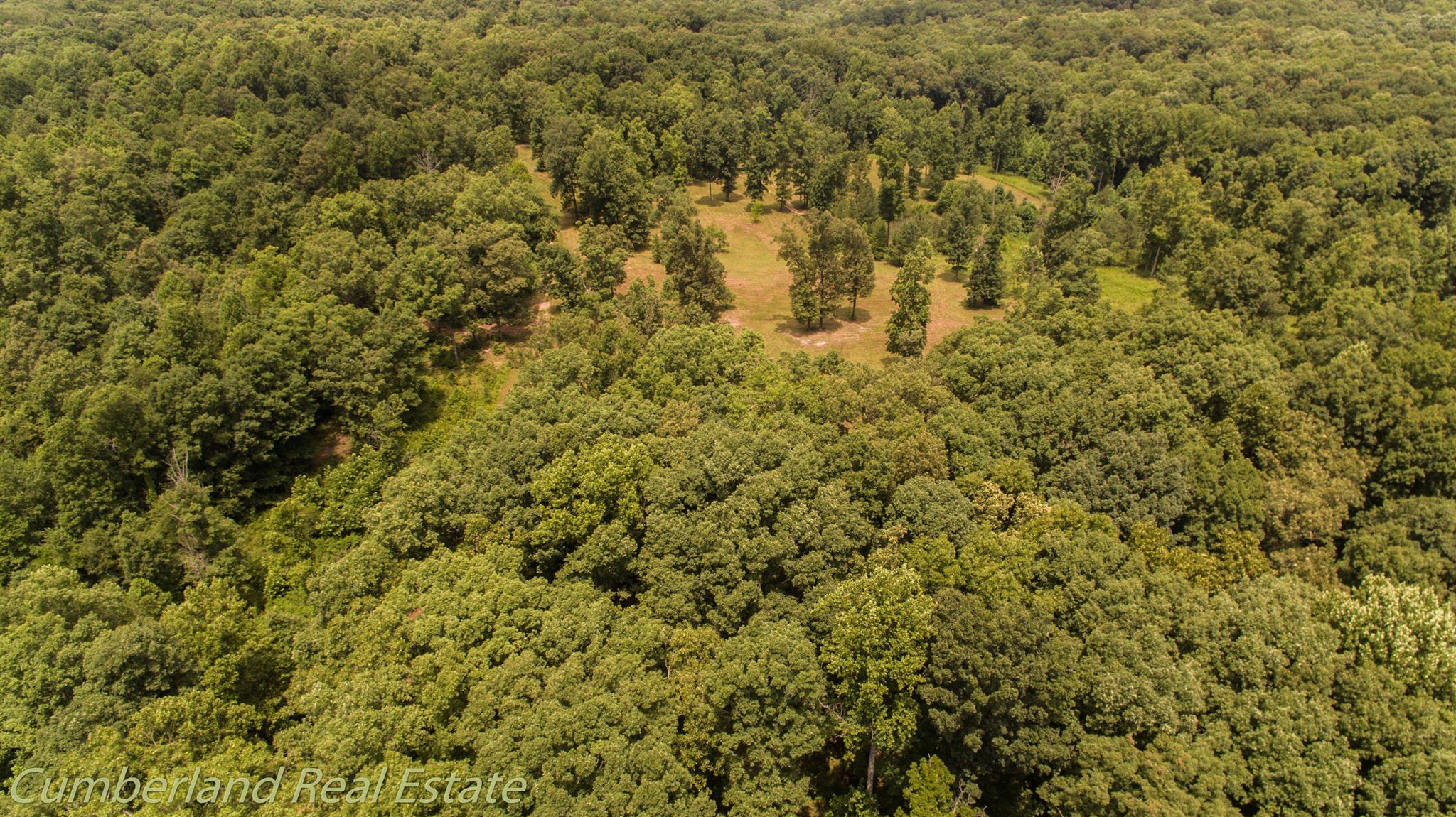 0 Fallen Beetree Road Fairview, TN 37062 - Photo 1 of 30 Gallery Image 1