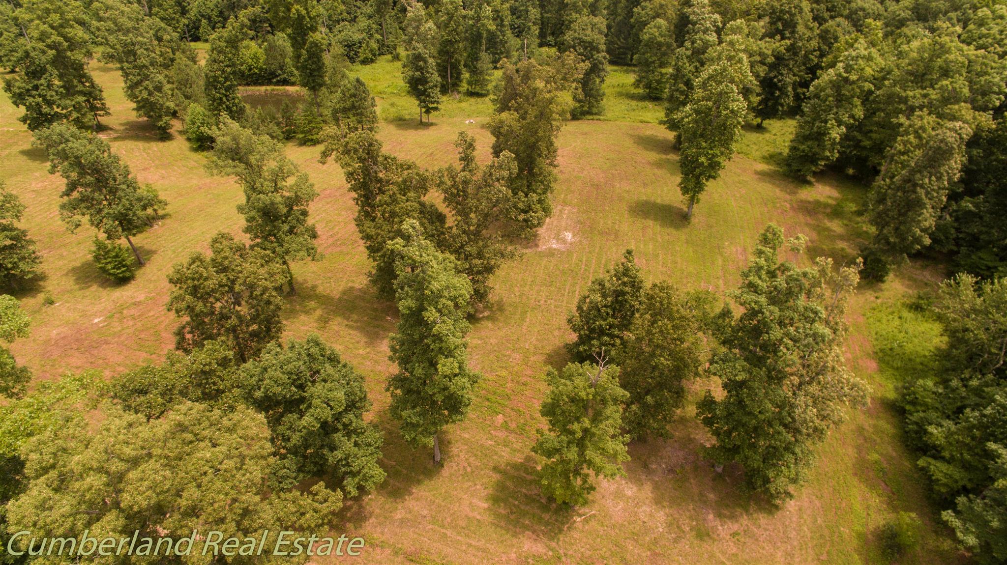 0 Fallen Beetree Road Fairview, TN 37062 - Photo 3 of 30 Gallery Image 3