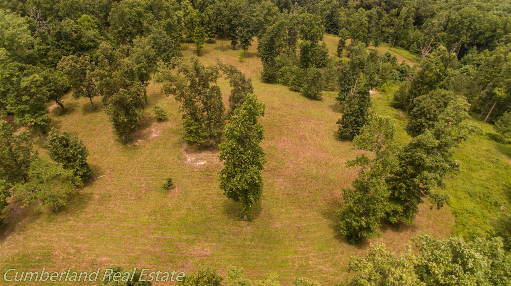 0 Fallen Beetree Road Fairview, TN 37062 - Photo 4 of 30 Gallery Image 4