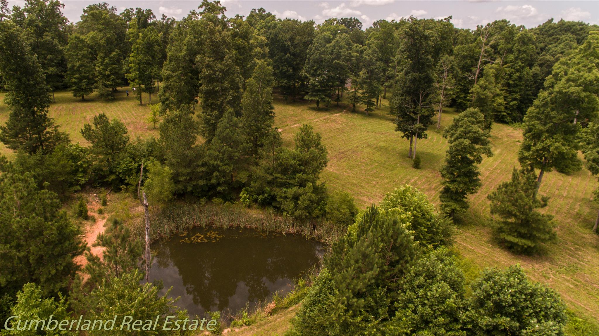 0 Fallen Beetree Road Fairview, TN 37062 - Photo 7 of 30 Gallery Image 7