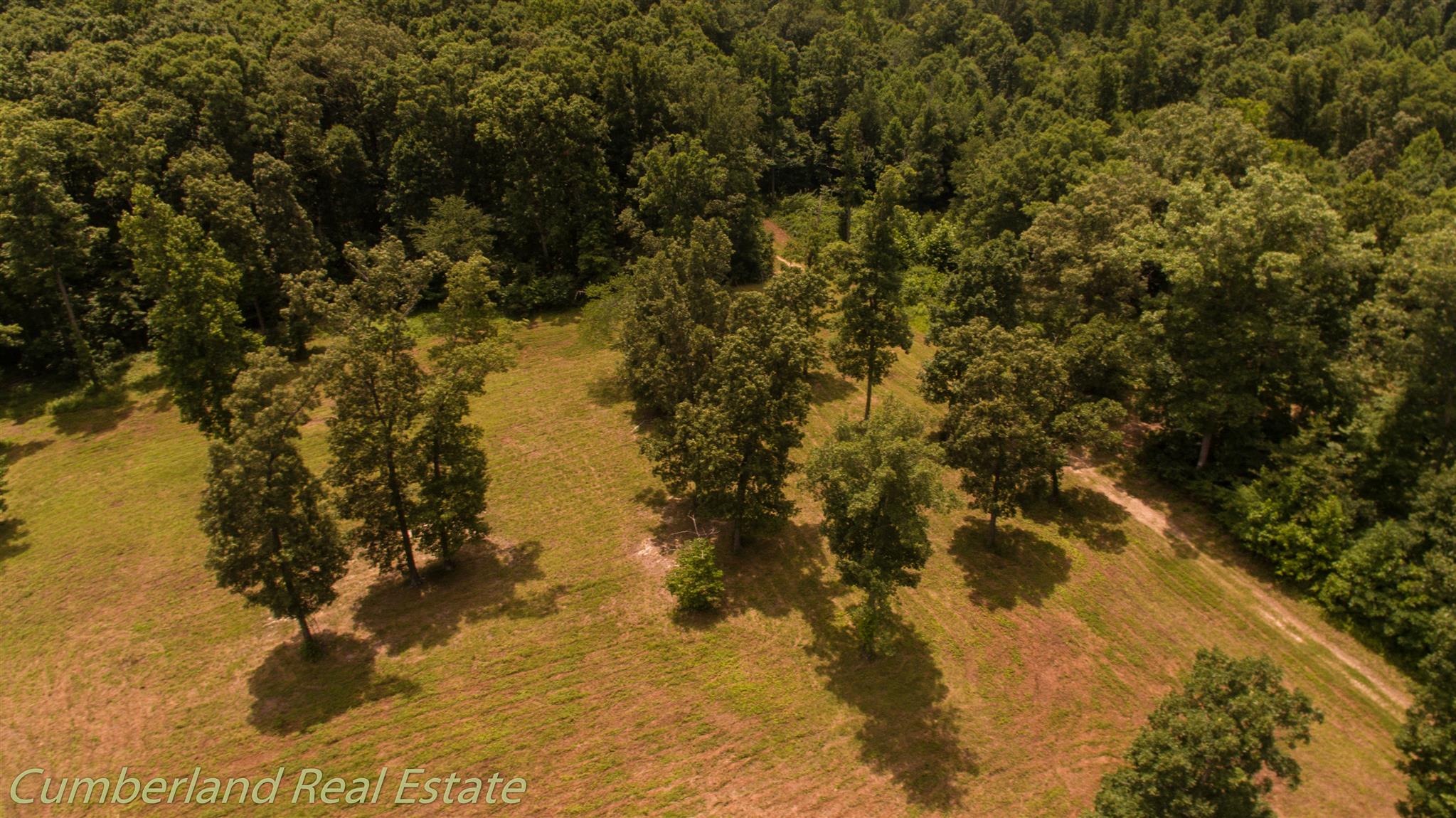 0 Fallen Beetree Road Fairview, TN 37062 - Photo 10 of 30 Gallery Image 10