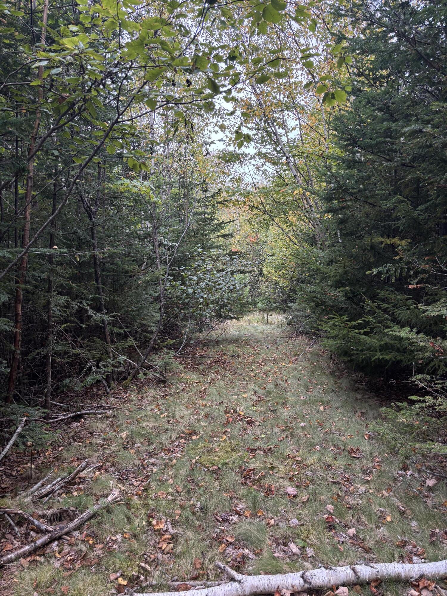 M20-l2 East Side Road Addison, ME 04606 - Photo 14 of 15 Elevated Land