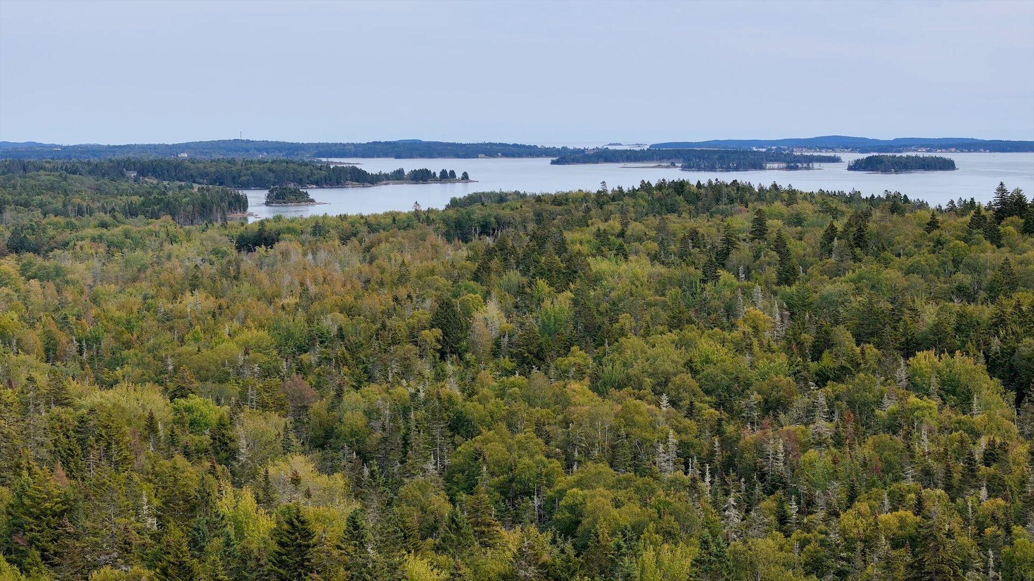 M20-l2 East Side Road Addison, ME 04606 - Photo 8 of 15 18-Timeline 1_01_00_54_05