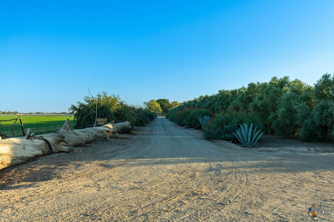 4895 Hovley Road Brawley, CA 92227 - Photo 5 of 55 Gallery Image 5