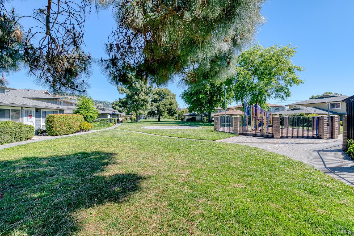 247 Bahia Place San Rafael, CA 94901 - Photo 21 of 22 a view of a house with big yard and palm trees