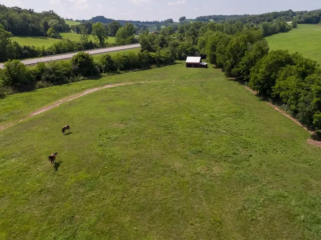 a view of a green field with clear sky