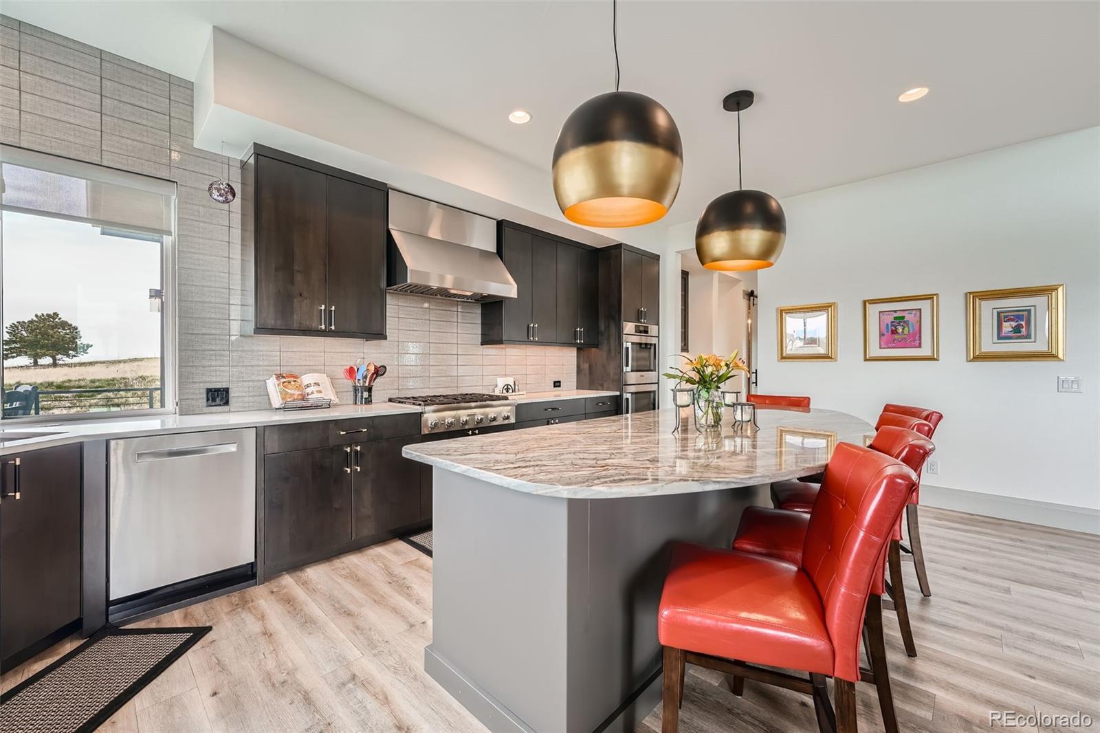 10689 Shadow Pines Road Parker, CO 80138 - Photo 11 of 42