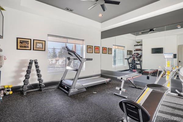 10689 Shadow Pines Road Parker, CO 80138 - Photo 25 of 42