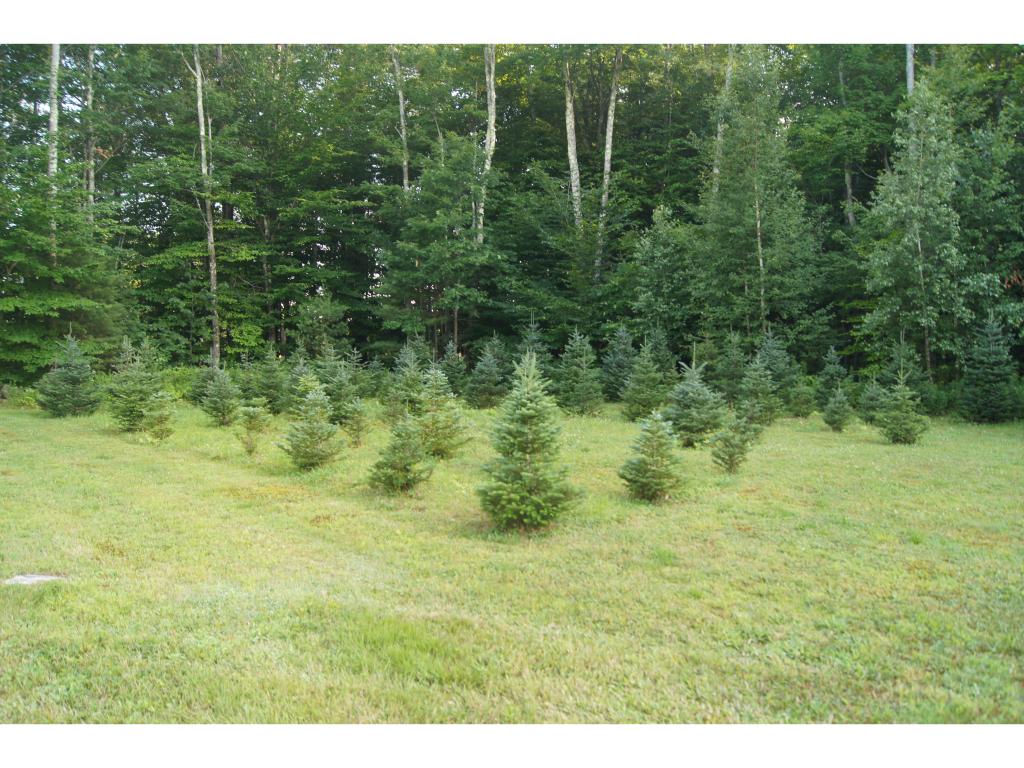 35 Gray Road Sanbornton, NH 03269 - Photo 32 of 33
