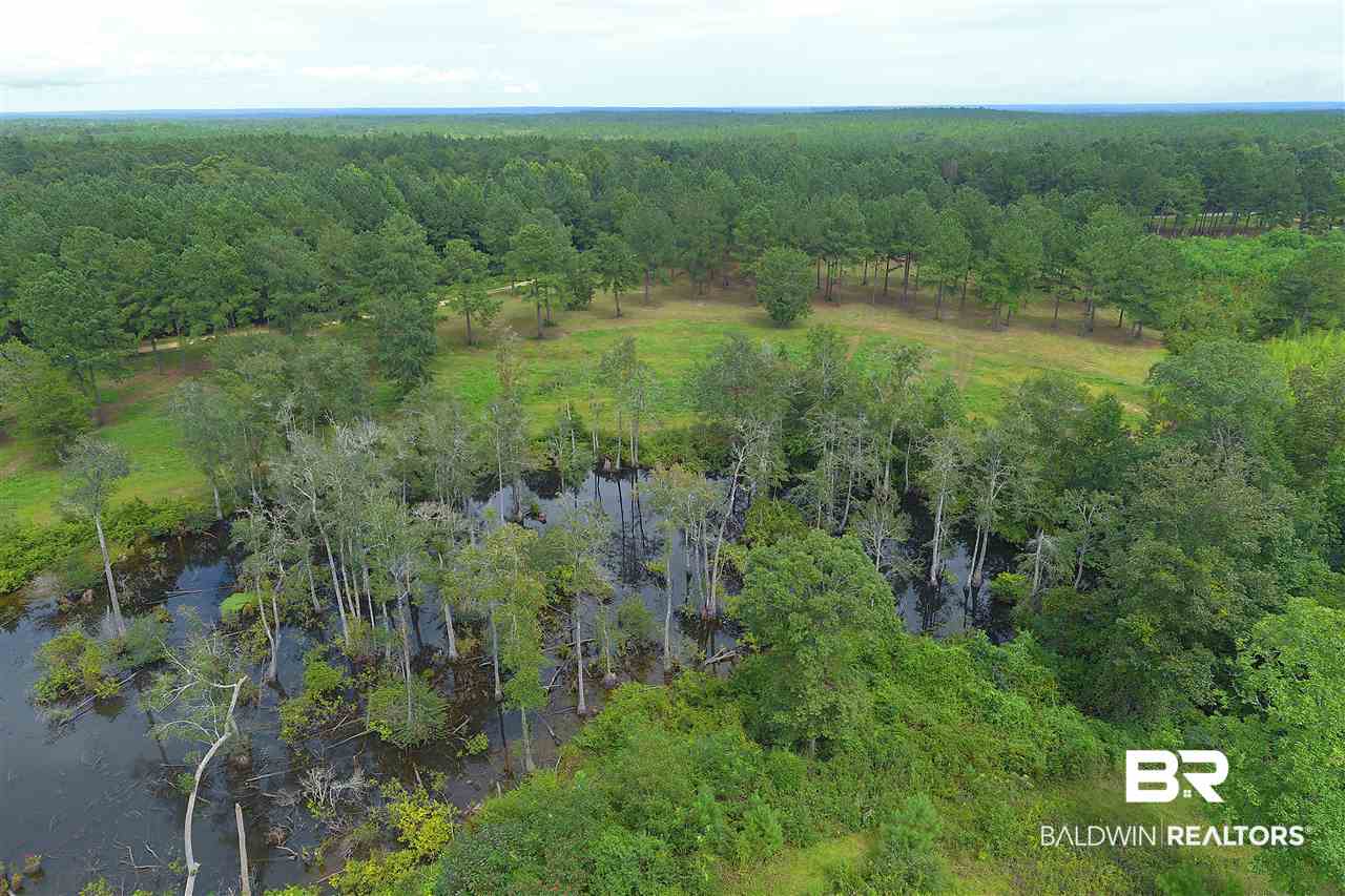 249 Camp Dixon Road Brewton, AL 36426 - Photo 44 of 48