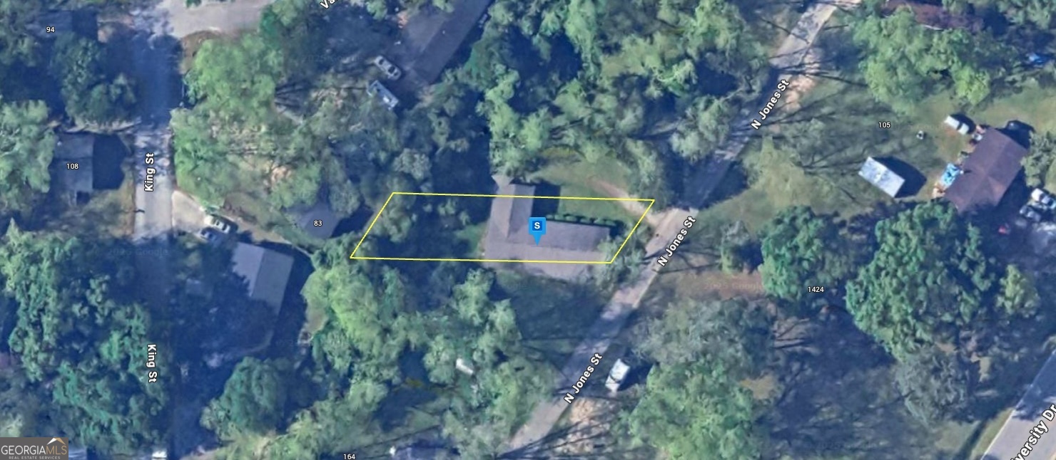 a view of a yard with plants and large trees