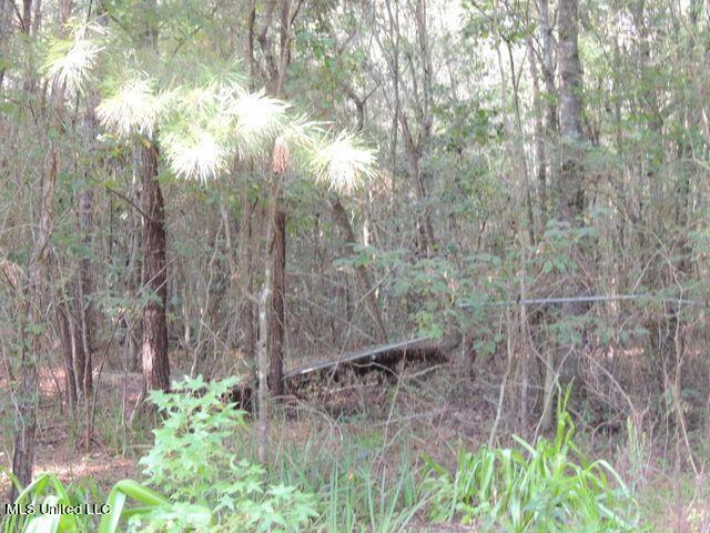 1016 Blue Meadow Road Bay St. Louis, MS 39520 - Photo 21 of 27 20210821235652724960000000-o
