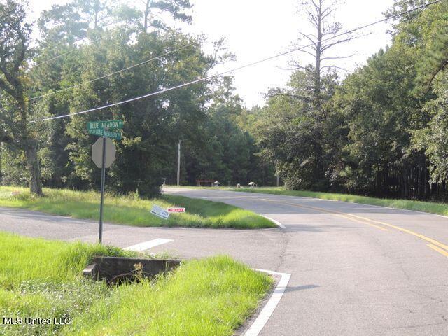 1016 Blue Meadow Road Bay St. Louis, MS 39520 - Photo 26 of 27 20210821235629915044000000-o