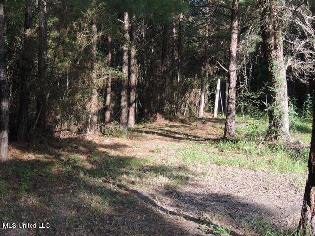 1016 Blue Meadow Road Bay St. Louis, MS 39520 - Photo 4 of 27 20210821235608609061000000-o