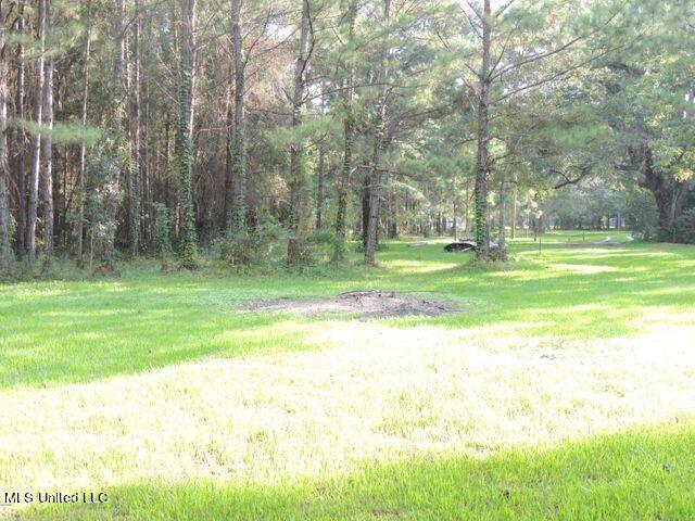 1016 Blue Meadow Road Bay St. Louis, MS 39520 - Photo 8 of 27 20210821235615204428000000-o