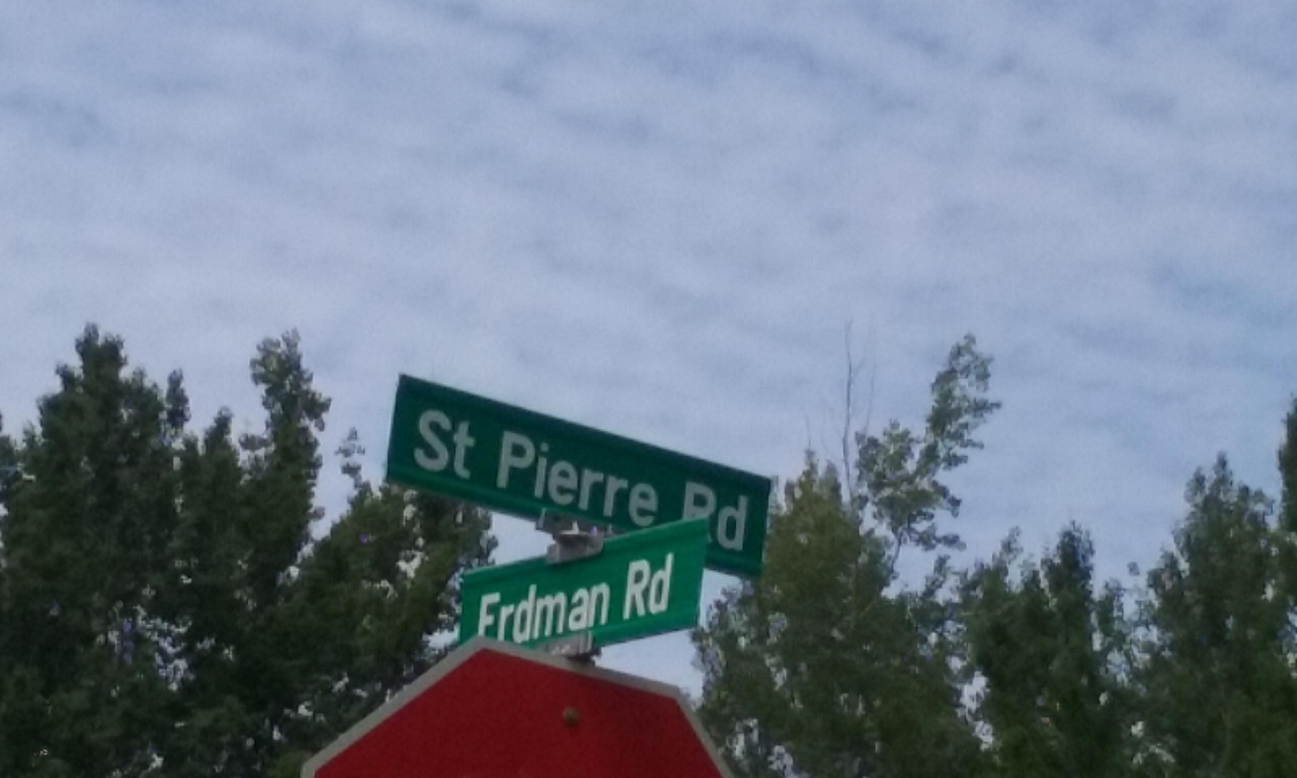 80-acres Erdman Road Arcadia, MI 49613 - Photo 23 of 24 20160618_143018