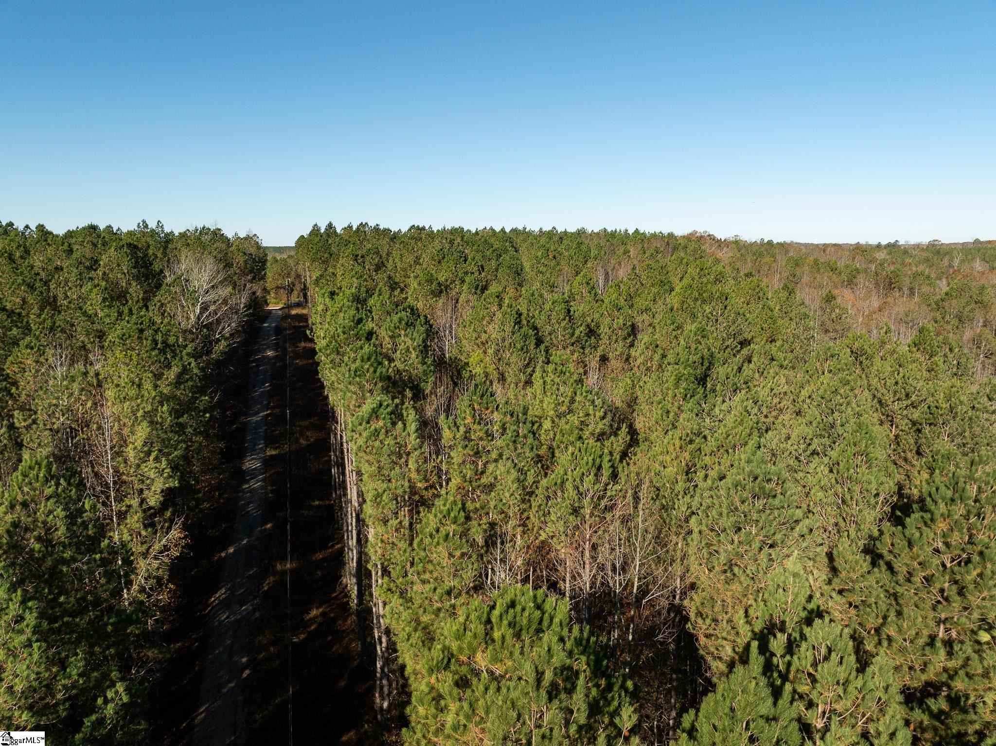1 Old Milton Road Clinton, SC 29325 - Photo 12 of 21