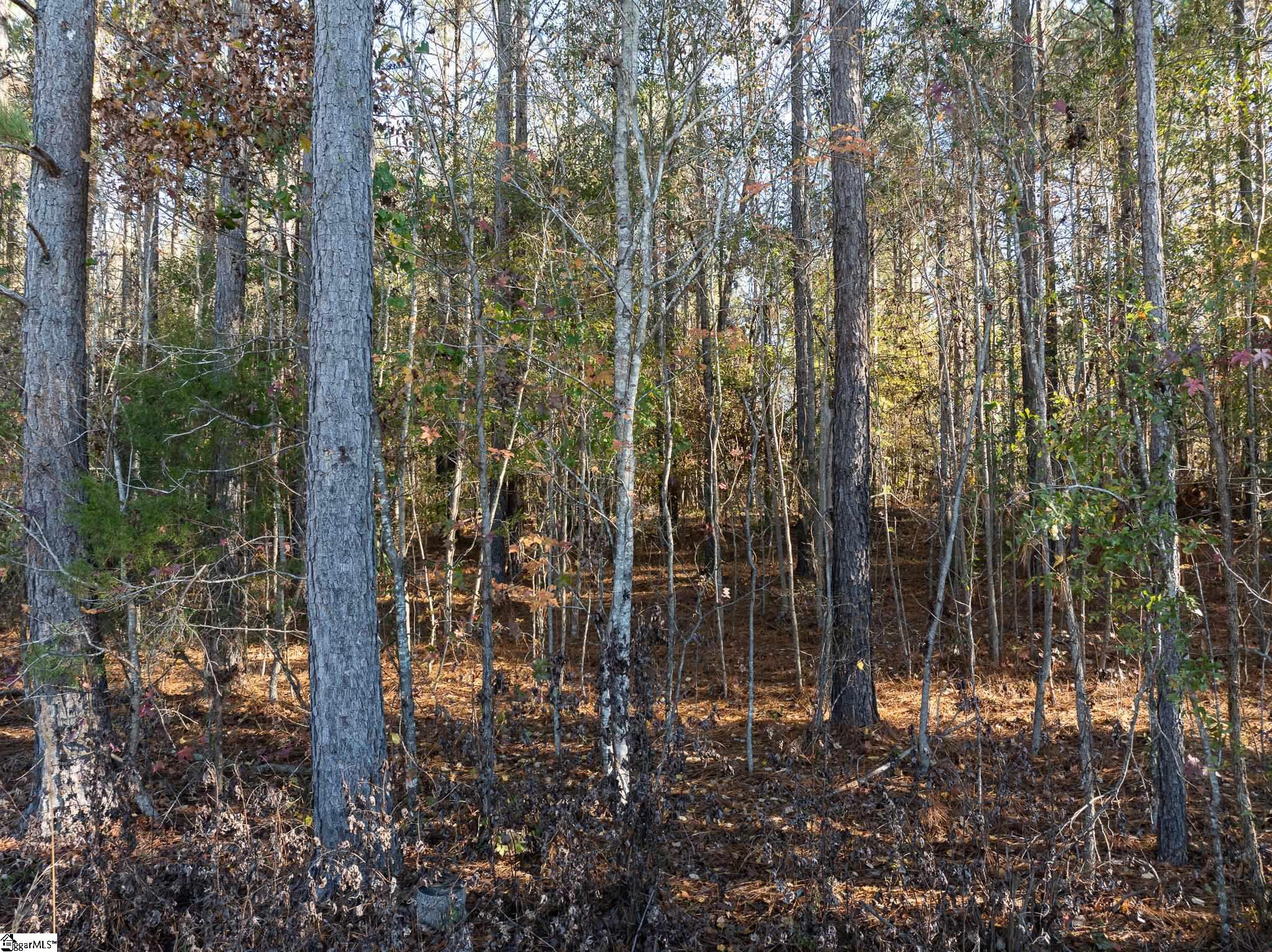 1 Old Milton Road Clinton, SC 29325 - Photo 16 of 21